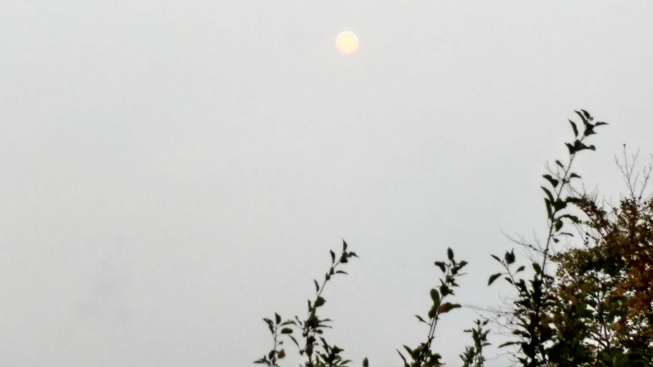 image from How to Easily Remove the Background from an Image