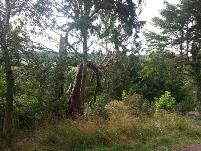 image from Multi Line Tweets for the Win