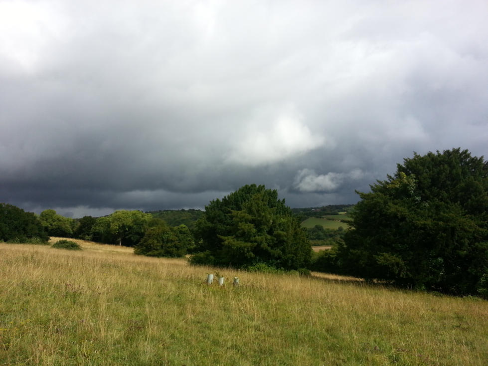 image from How to avoid the wrong type of profile clicks